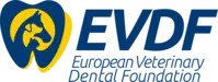 Логотип EVDF - котячий стоматолог